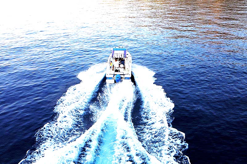 Emma Barracuda 650