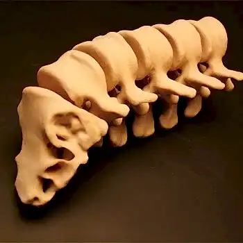 3d yazıcı baskı prototip iskelet