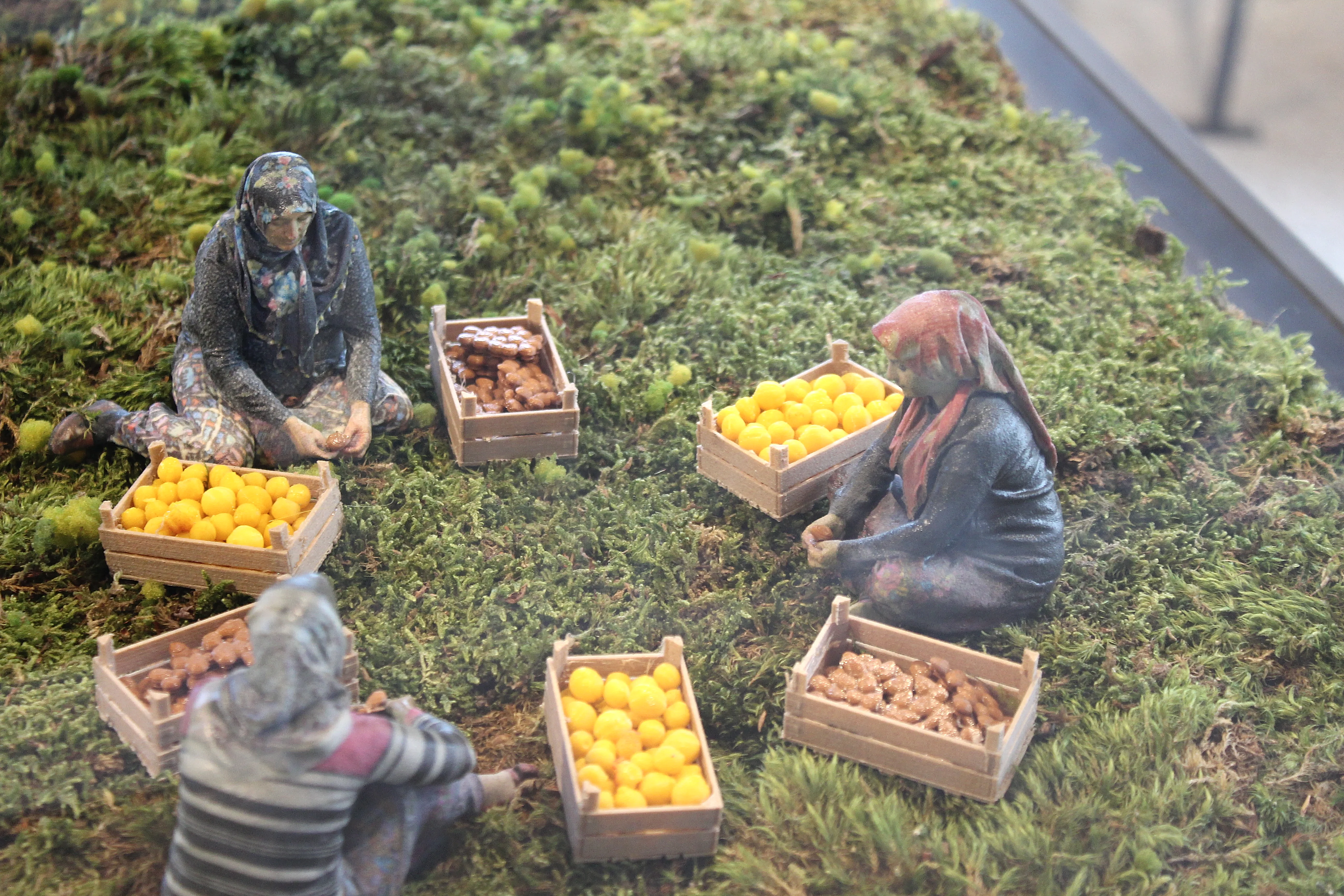 Malatya Kayısı Maket