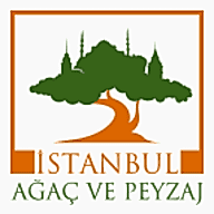 İstanbul Ağaç Aş